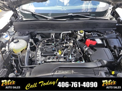 2022 Ford Bronco Sport